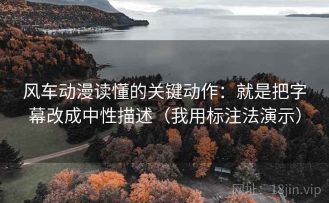 风车动漫读懂的关键动作：就是把字幕改成中性描述（我用标注法演示）